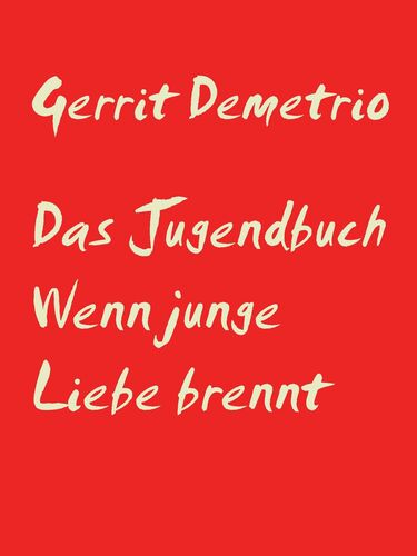 Das Jugendbuch Wenn junge Liebe brennt