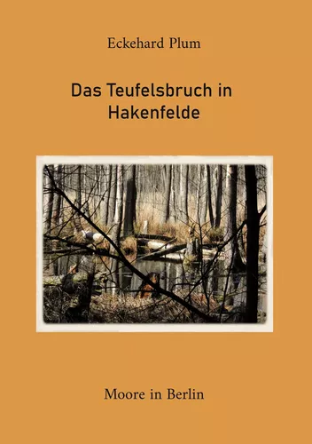 Das Teufelsbruch in  Hakenfelde