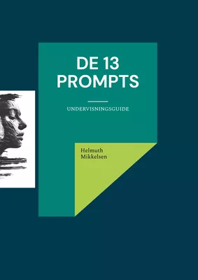 De 13 prompts