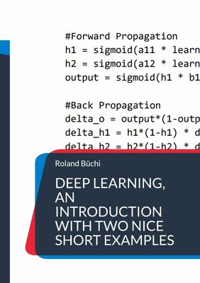 Deep Learning, an introduction with two nice short examples