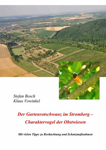 Der Gartenrotschwanz im Stromberg