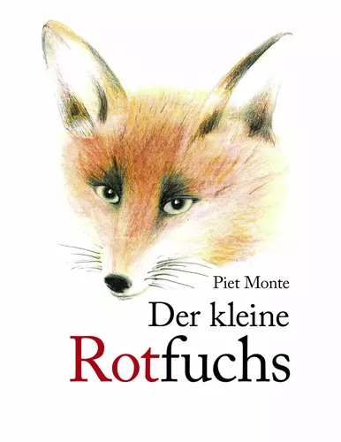 Der kleine Rotfuchs