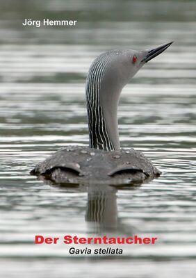 Der Sterntaucher