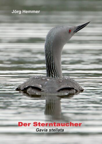Der Sterntaucher