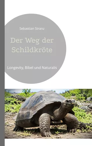 Der Weg der Schildkröte