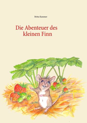 Die Abenteuer des kleinen Finn