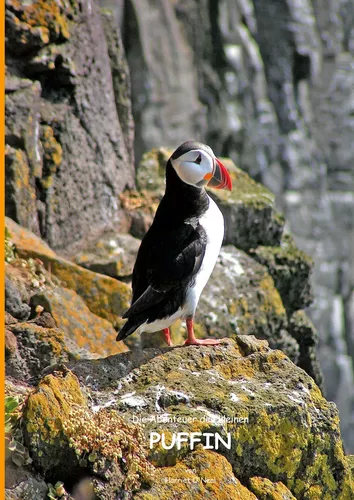 Die Abenteuer des kleinen PUFFIN