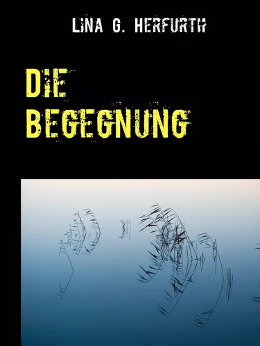 Die Begegnung
