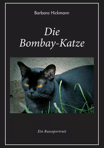 Die Bombay-Katze