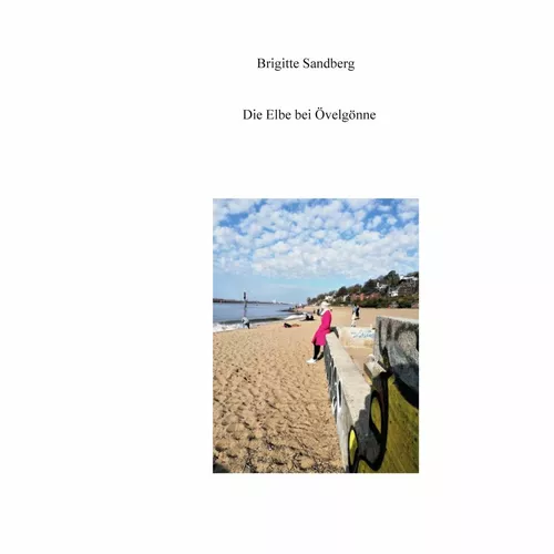 Die Elbe bei Övelgönne