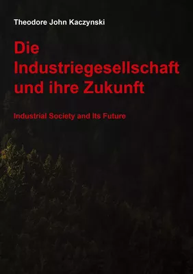 Die Industriegesellschaft und ihre Zukunft