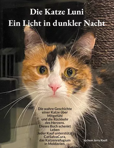 Die Katze Luni - Ein Licht in dunkler Nacht