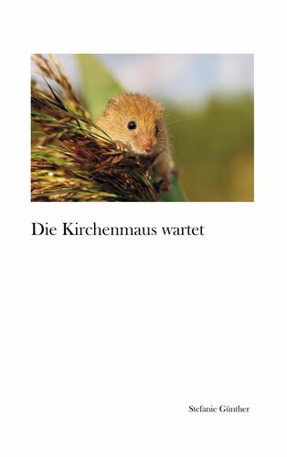 Die Kirchenmaus wartet