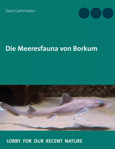 Die Meeresfauna von Borkum
