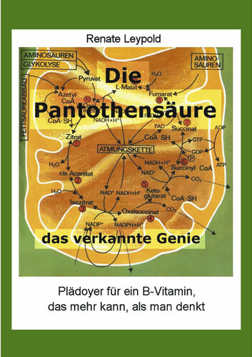 Die Pantothensäure - das verkannte Genie