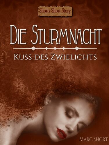 Die Sturmnacht