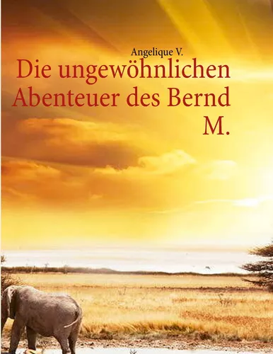 Die ungewöhnlichen Abenteuer des Bernd M.
