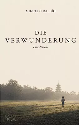 Die Verwunderung