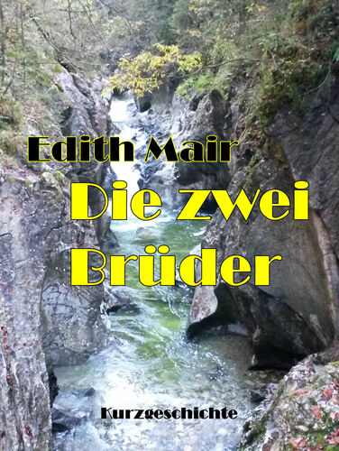 Die zwei Brüder