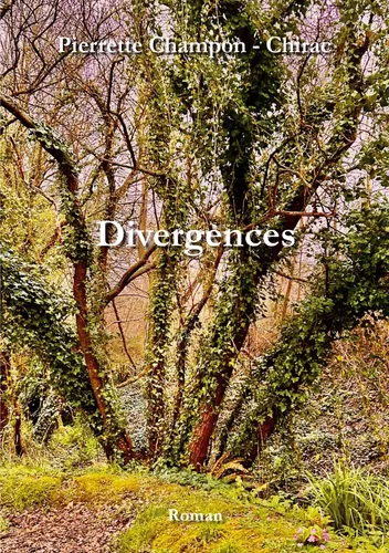 Divergences