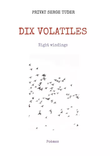 DIX VOLATILES
