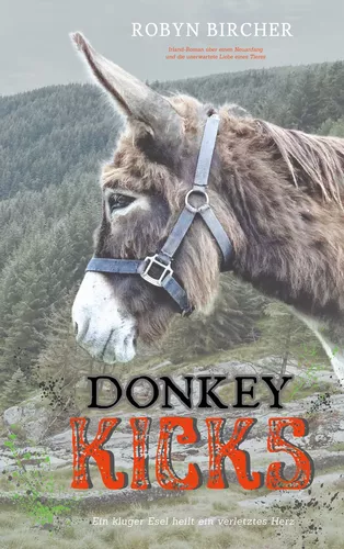 Donkey Kicks