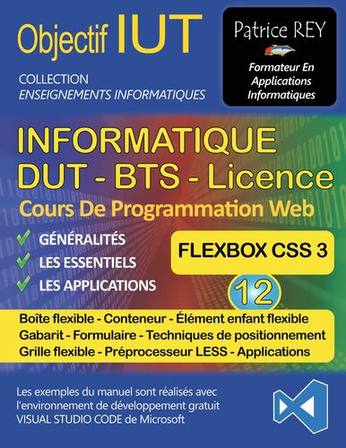 DUT Informatique - Flexbox (Tome 12)