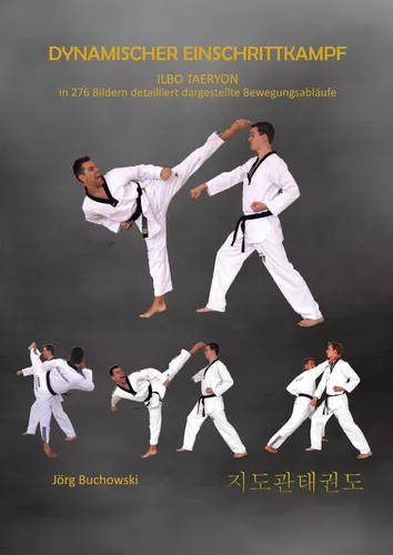 Dynamischer Einschrittkampf Ilbo Taeryon