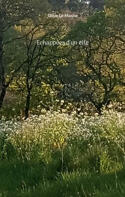 Echappées d'un elfe