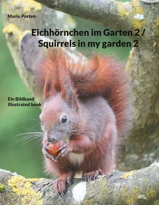 Eichhörnchen im Garten 2 / Squirrels in my garden 2