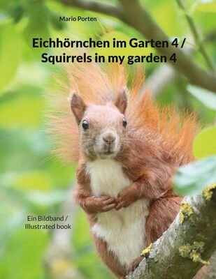 Eichhörnchen im Garten 4 / Squirrels in my garden 4