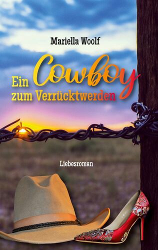 Ein Cowboy zum Verrücktwerden
