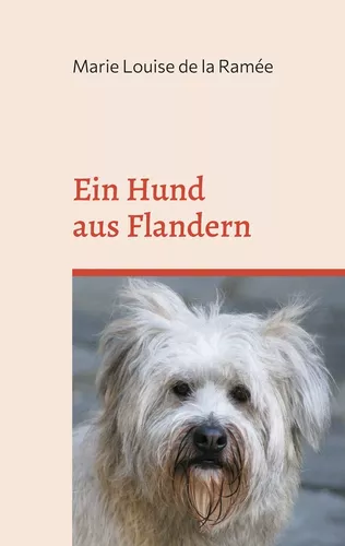 Ein Hund aus Flandern