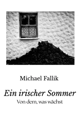 Ein irischer Sommer