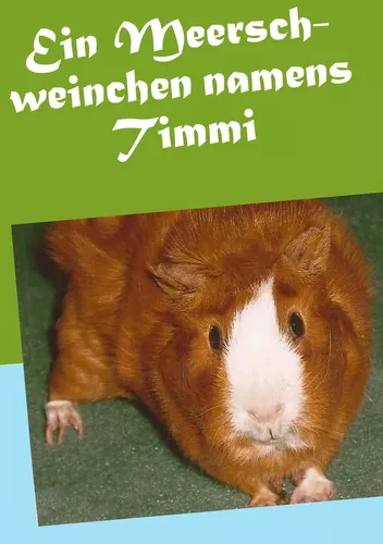 Ein Meerschweinchen namens Timmi