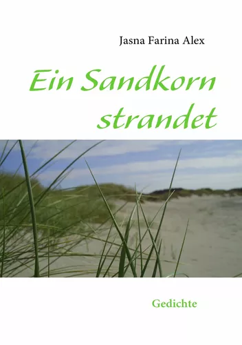 Ein Sandkorn strandet