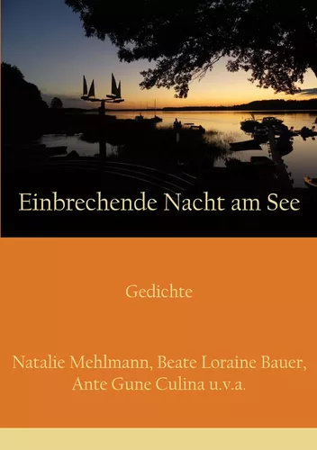 Einbrechende Nacht am See