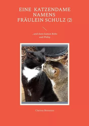 Eine Katzendame namens Fräulein Schulz (2)