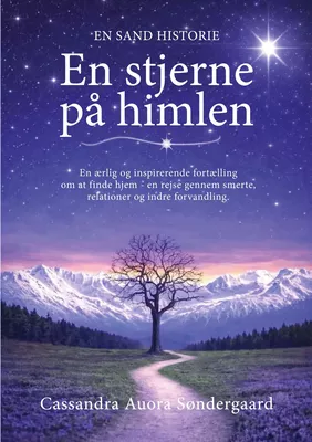 En stjerne på himlen