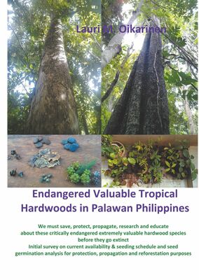 Endangered Valuable Tropical Hardwoods in Palawan Philippines