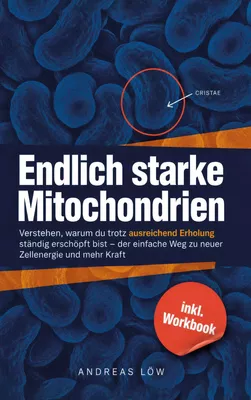 Endlich starke Mitochondrien