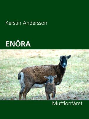ENÖRA