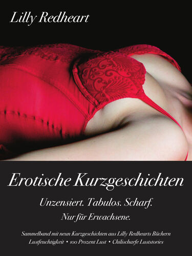 Erotische Kurzgeschichten - Unzensiert. Tabulos. Scharf.