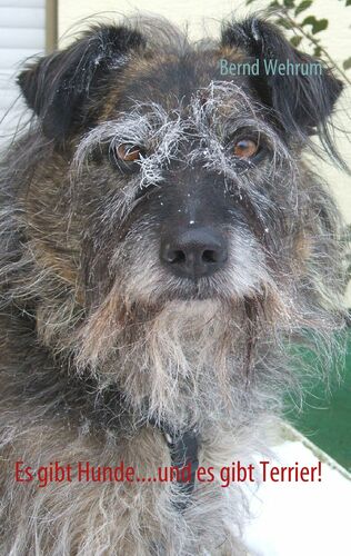 Es Gibt Hunde Und Es Gibt Terrier