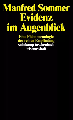 Evidenz im Augenblick