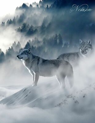 Fantasy Notizbuch: Wölfe im Nebel - weiße Seiten mit Eckmotiv