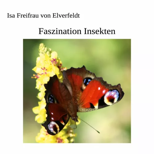 Faszination Insekten