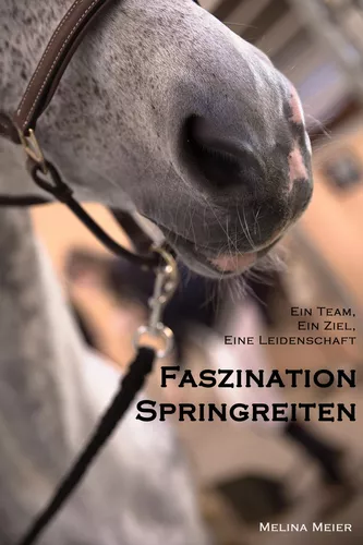 Faszination Springreiten