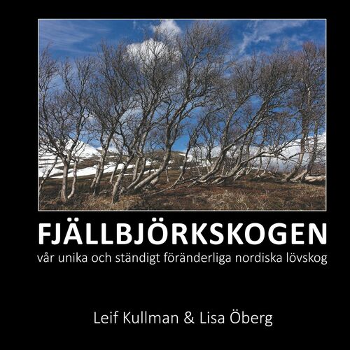 Fjällbjörksskogen