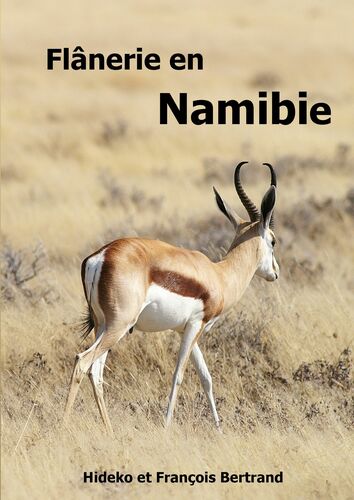 Flânerie en Namibie